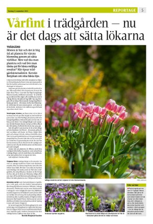 eskilstunakuriren_b-20230921_000_00_00_005.pdf
