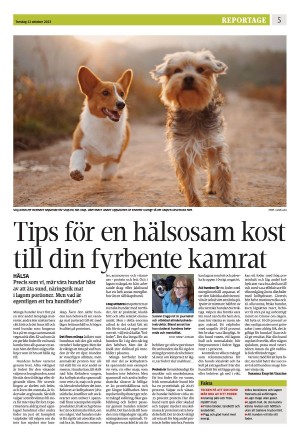 eskilstunakuriren_b-20231012_000_00_00_005.pdf