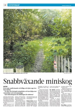 eskilstunakuriren_b-20231108_000_00_00_004.pdf