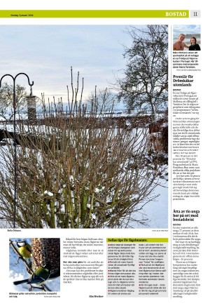 eskilstunakuriren_b-20240103_000_00_00_011.pdf