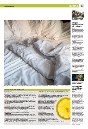 eskilstunakuriren_b-20240131_000_00_00_011.pdf