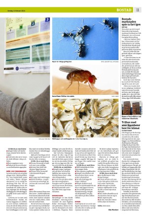 eskilstunakuriren_b-20240214_000_00_00_011.pdf