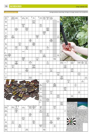 eskilstunakuriren_b-20240907_000_00_00_016.pdf