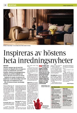 eskilstunakuriren_b-20240921_000_00_00_008.pdf