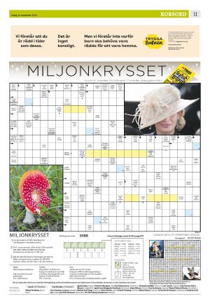 eskilstunakuriren_b-20240924_000_00_00_011.pdf
