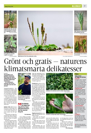 eskilstunakuriren_b-20250520_000_00_00_007.pdf