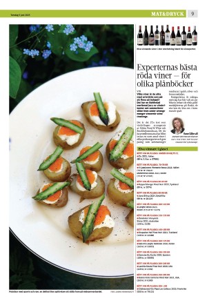 eskilstunakuriren_b-20250605_000_00_00_009.pdf