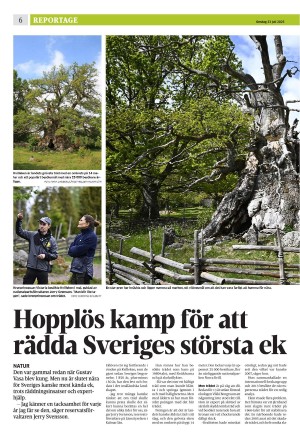 eskilstunakuriren_b-20250723_000_00_00_006.pdf