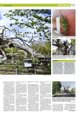 eskilstunakuriren_b-20250723_000_00_00_007.pdf