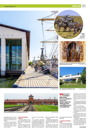 eskilstunakuriren_b-20250905_000_00_00_007.pdf