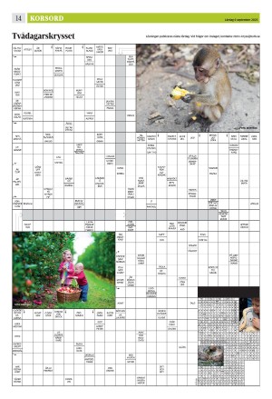 eskilstunakuriren_b-20250906_000_00_00_014.pdf