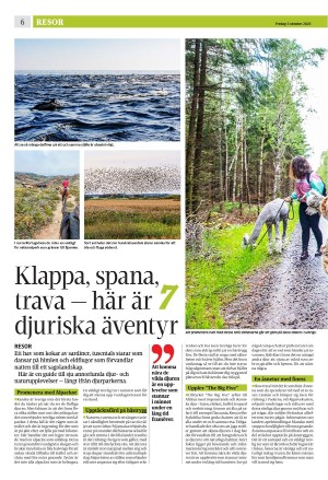 eskilstunakuriren_b-20251003_000_00_00_006.pdf