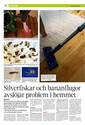 eskilstunakuriren_b-20251015_000_00_00_008.pdf