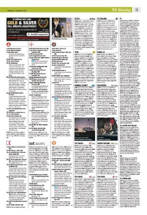 eskilstunakuriren_b-20251117_000_00_00_011.pdf