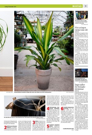 eskilstunakuriren_b-20251220_000_00_00_009.pdf