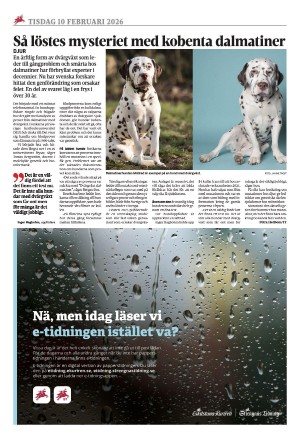 eskilstunakuriren_b-20260210_000_00_00_016.pdf