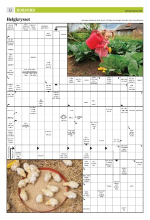 eskilstunakuriren_b-20260228_000_00_00_012.pdf