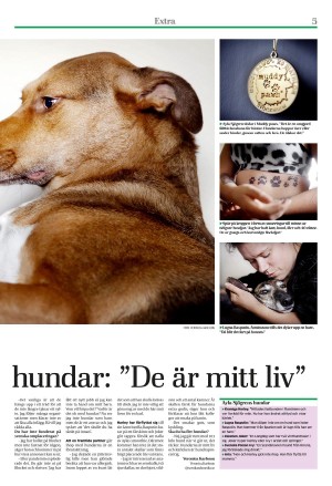 eskilstunakuriren_extra-20220623_000_00_00_005.pdf