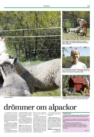 eskilstunakuriren_extra-20220623_000_00_00_013.pdf