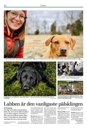 eskilstunakuriren_extra-20220623_000_00_00_024.pdf