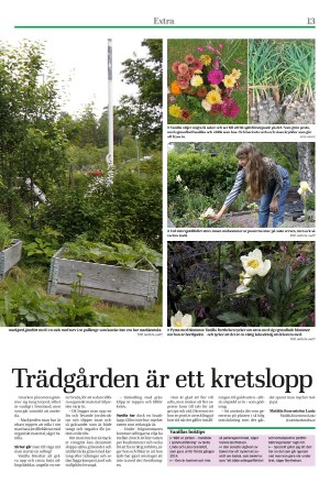 eskilstunakuriren_extra-20220728_000_00_00_013.pdf
