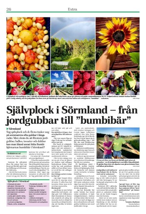eskilstunakuriren_extra-20220728_000_00_00_026.pdf