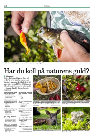 eskilstunakuriren_extra-20221027_000_00_00_024.pdf