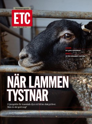 ETC 2025-07-25