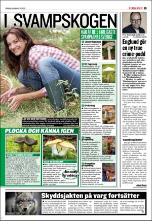 expressen-20200815_000_00_00_025.pdf