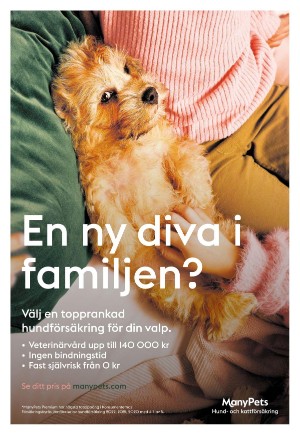 expressen-20220611_000_00_00_014.pdf