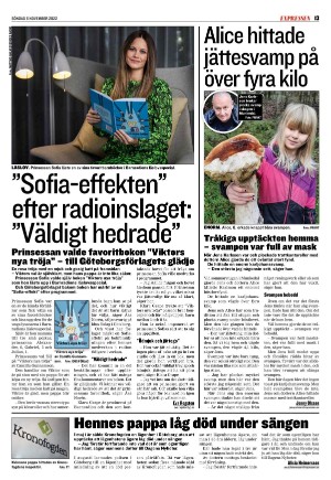 expressen-20221106_000_00_00_013.pdf
