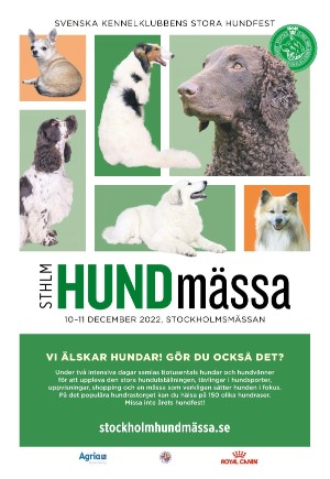 expressen-20221127_000_00_00_041.pdf