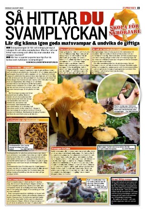 expressen-20230809_000_00_00_023.pdf