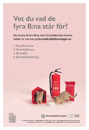 expressen-20251120_000_00_00_003.pdf