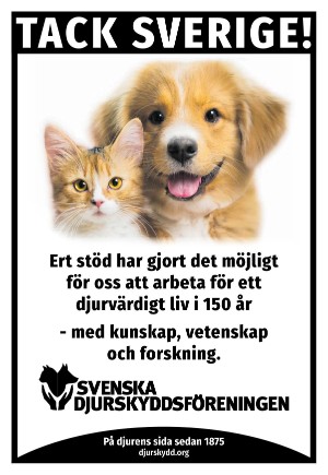 expressen-20251122_000_00_00_019.pdf