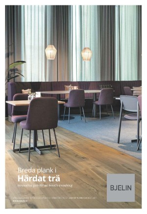 expressen_bilag-20210529_000_00_00_009.pdf