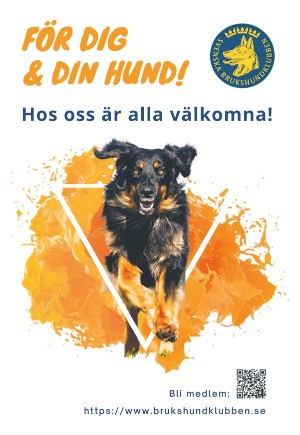 expressen_bilag-20230503_000_00_00_003.pdf