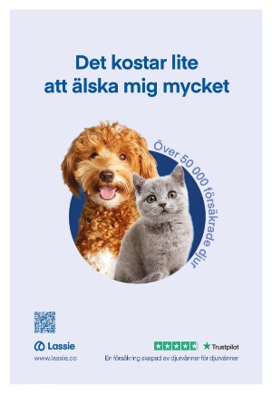 expressen_bilag-20231011_000_00_00_003.pdf