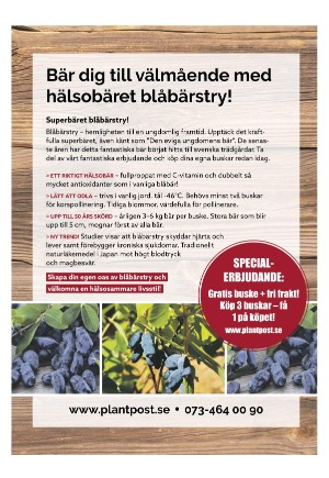 expressen_bilag-20231011_000_00_00_017.pdf