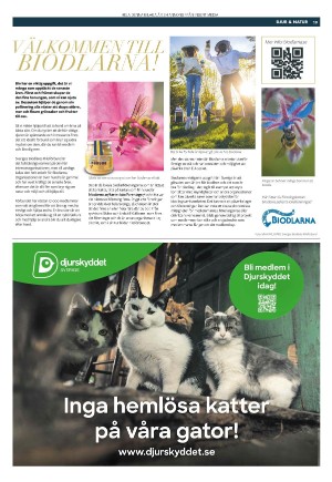 expressen_bilag-20231011_000_00_00_019.pdf