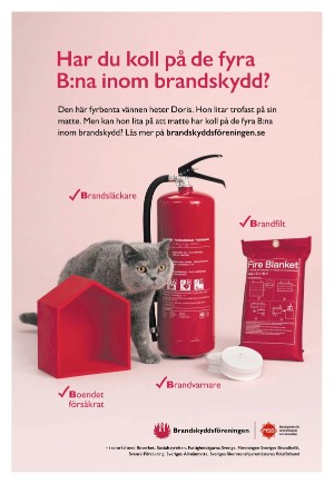 expressen_bilag-20231117_000_00_00_005.pdf