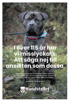 expressen_bilag-20231221_000_00_00_026.pdf
