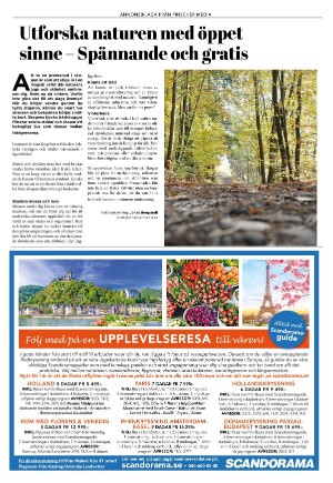 expressen_bilag-20240129_000_00_00_009.pdf