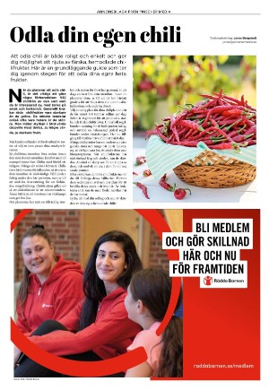 expressen_bilag-20240129_000_00_00_015.pdf