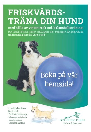 expressen_bilag-20240207_000_00_00_005.pdf