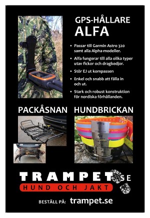 expressen_bilag-20240229_000_00_00_003.pdf