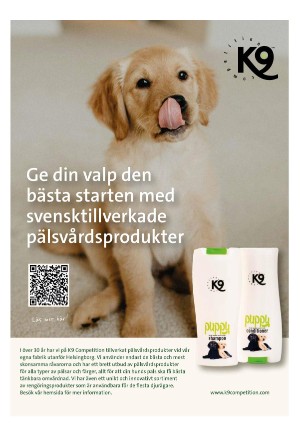 expressen_bilag-20240229_000_00_00_004.pdf