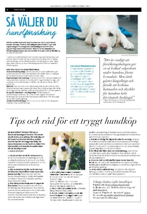expressen_bilag-20240229_000_00_00_008.pdf