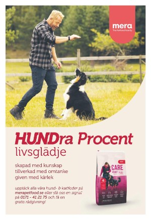 expressen_bilag-20240229_000_00_00_011.pdf