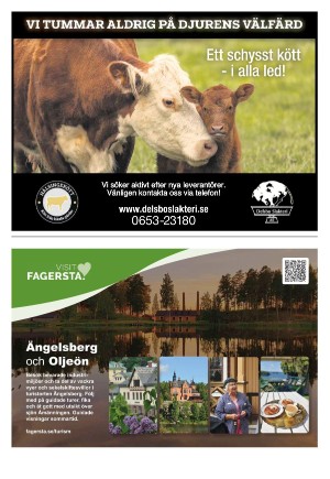 expressen_bilag-20240229_000_00_00_014.pdf